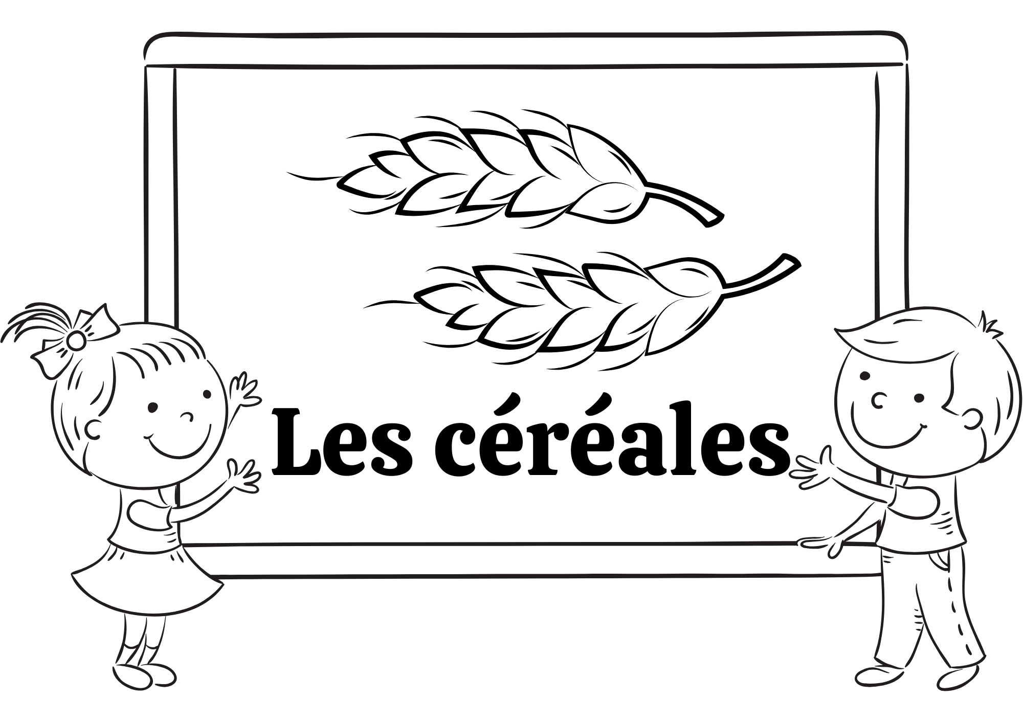 Autoc. Découverte (3)